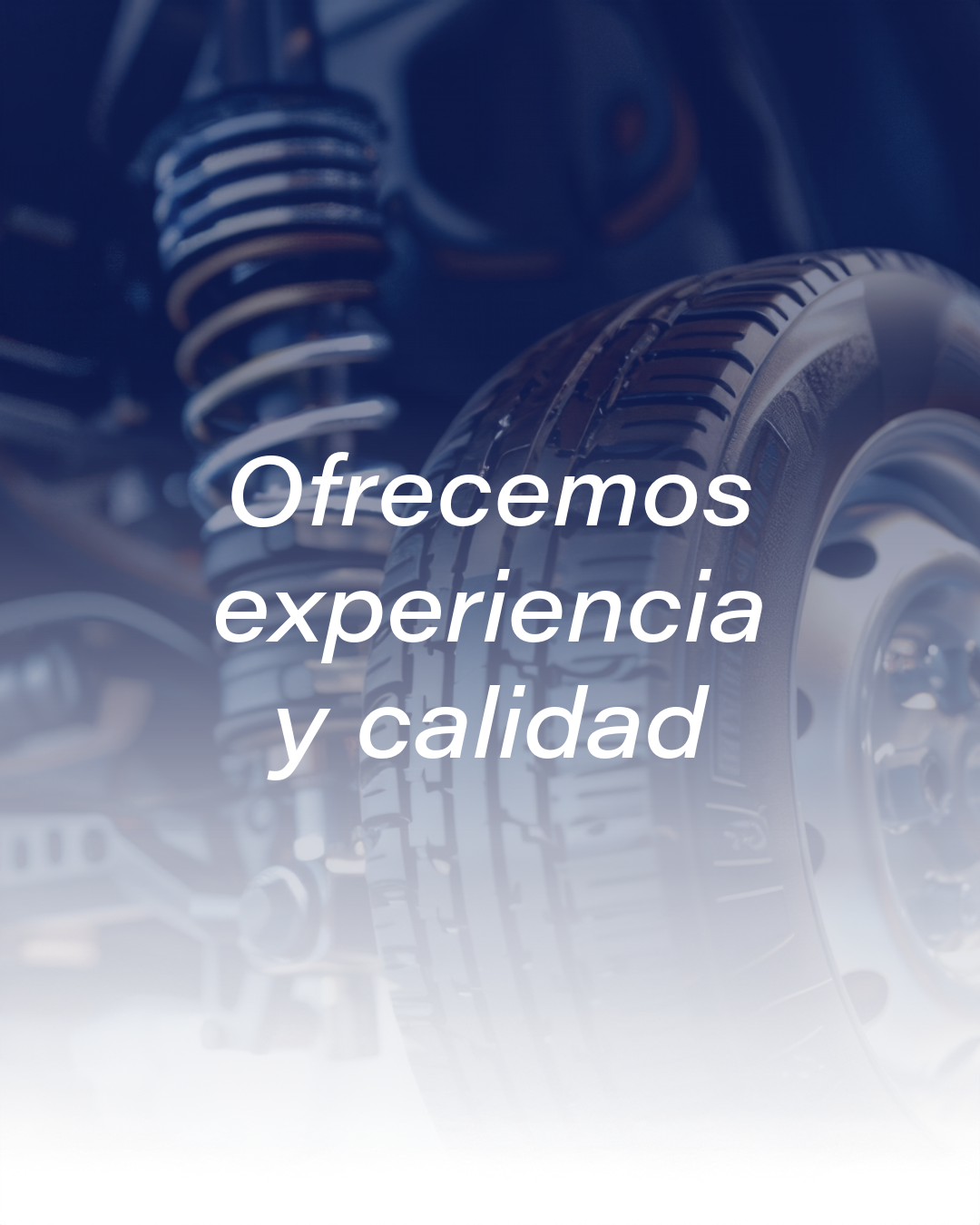 Servicios de Llantera La Mejor